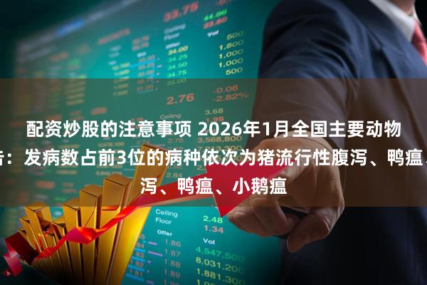 配资炒股的注意事项 2026年1月全国主要动物疫病报告：发病数占前3位的病种依次为猪流行性腹泻、鸭瘟、小鹅瘟